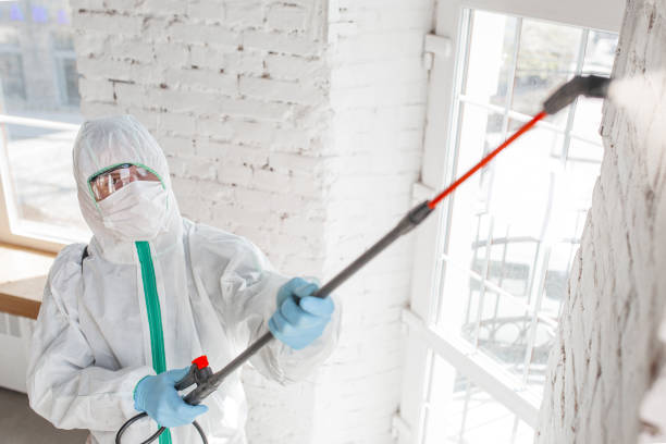 Best Mold Remediation for Vacation Homes  in Melvindale, MI