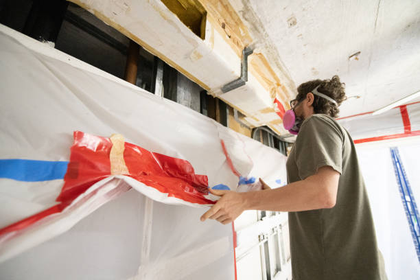 Best Environmental Consulting for Mold Prevention  in Melvindale, MI