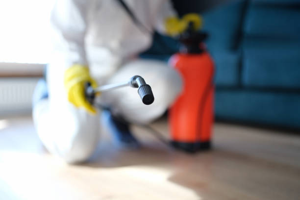 Best Crawl Space Mold Remediation  in Melvindale, MI