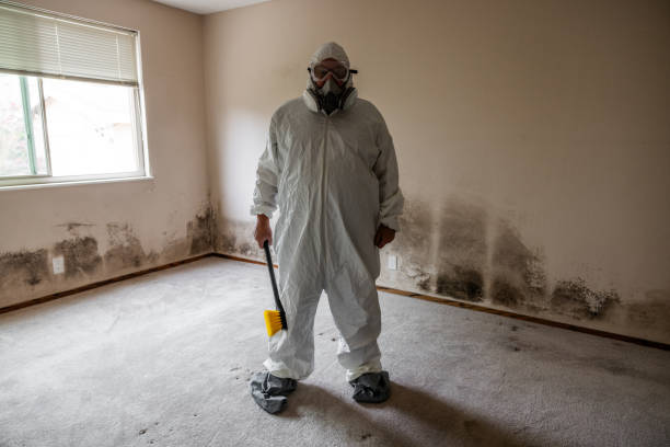 Best Forensic Mold Investigation  in Melvindale, MI