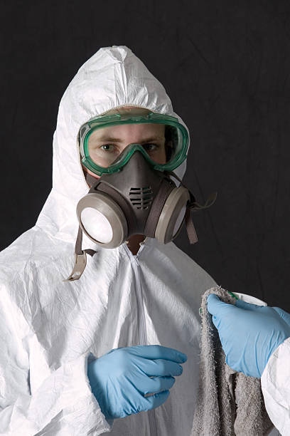 Best Black Mold Removal  in Melvindale, MI